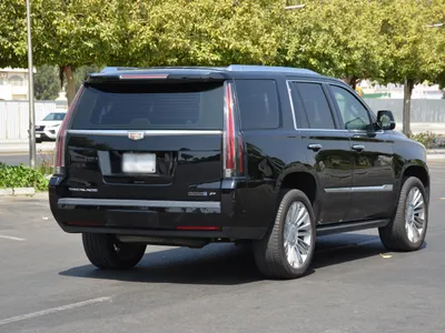 2019 كاديلاك اسكاليد بلاتينيوم