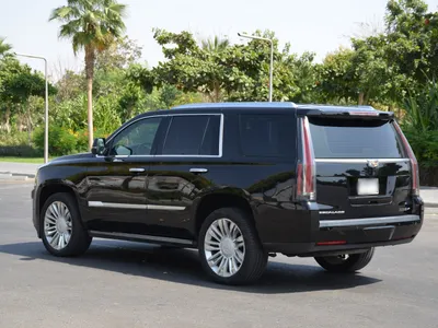 2019 كاديلاك اسكاليد بلاتينيوم