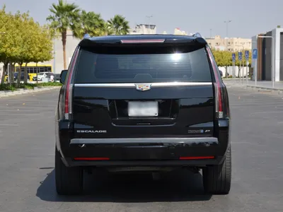 2019 كاديلاك اسكاليد بلاتينيوم