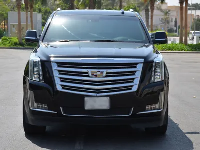 2019 كاديلاك اسكاليد بلاتينيوم