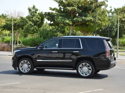 2019 كاديلاك اسكاليد بلاتينيوم