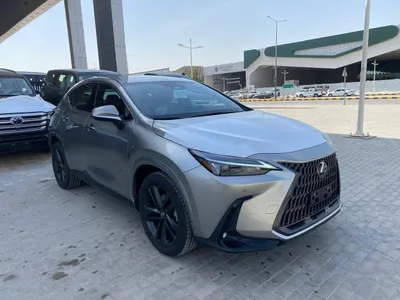 2025 لكزس إن إكس 350