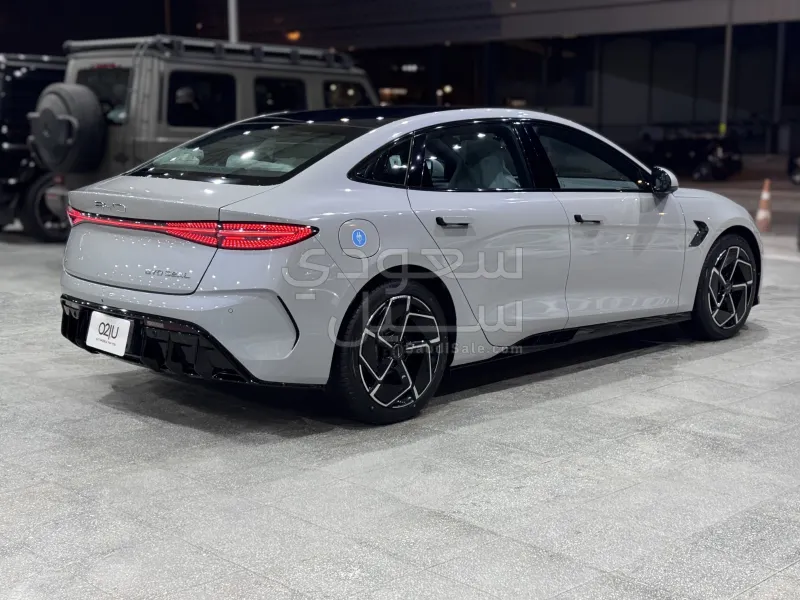 2025 بي واي دي سيل