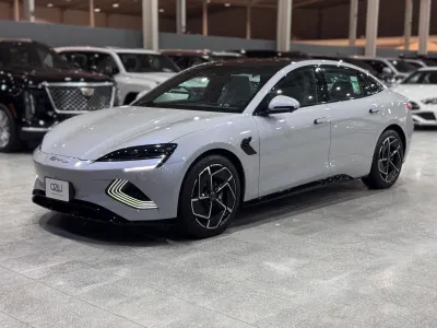 2025 بي واي دي سيل