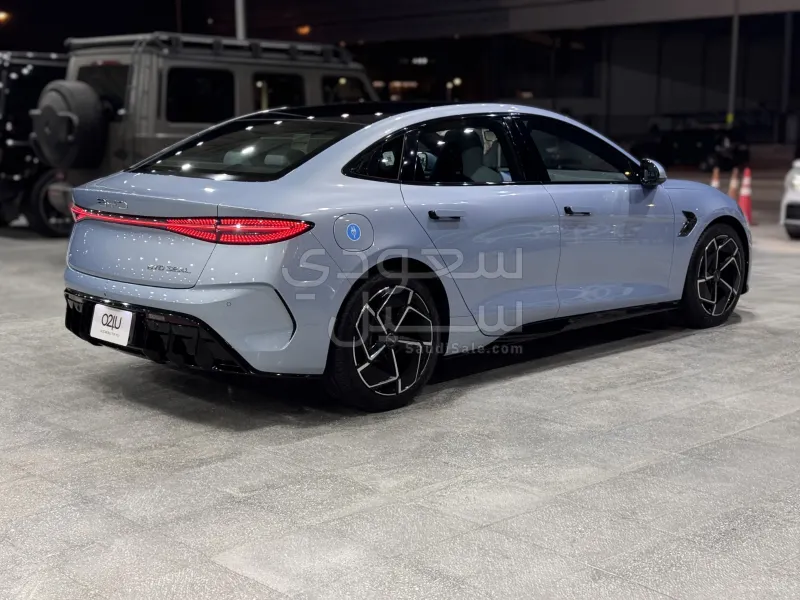 2025 بي واي دي سيل