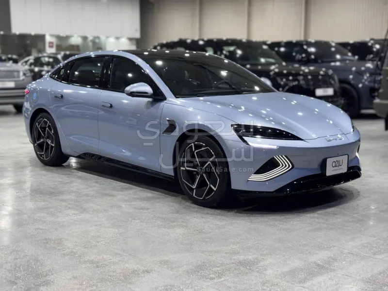 2025 بي واي دي سيل