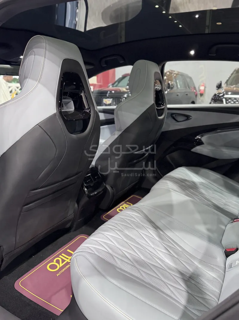 2025 بي واي دي سيل