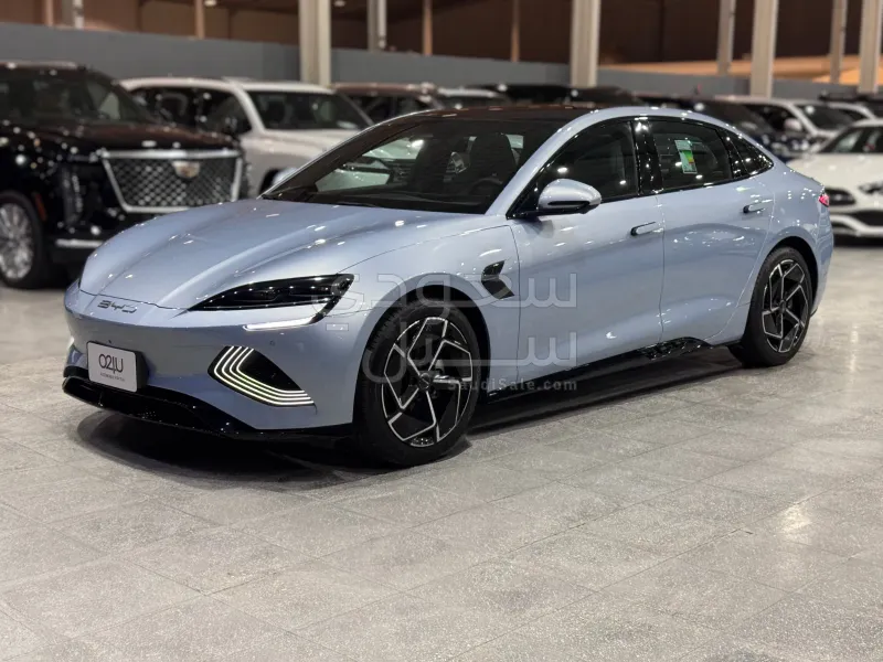 2025 بي واي دي سيل