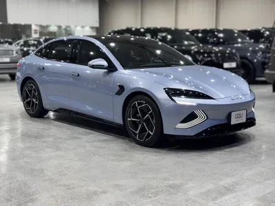 2025 بي واي دي سيل