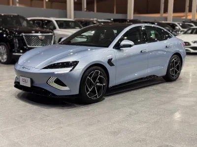 2025 بي واي دي سيل