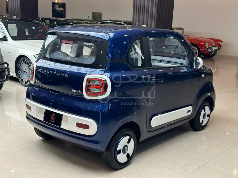 2025 فاو بيستون ميني إي في