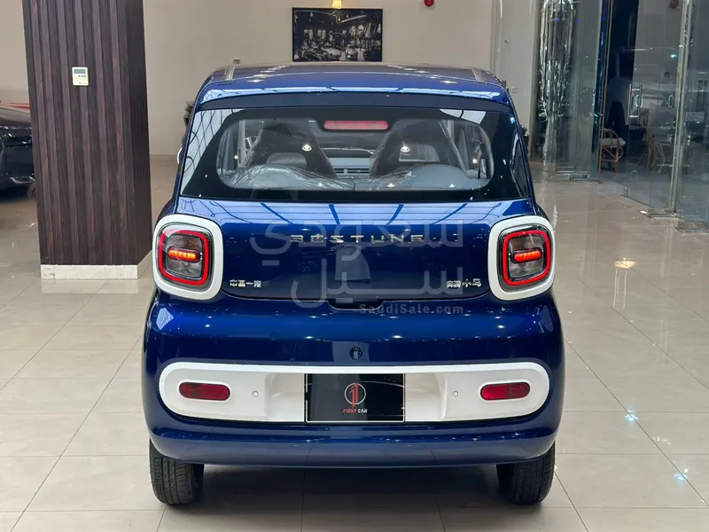 2025 فاو بيستون ميني إي في