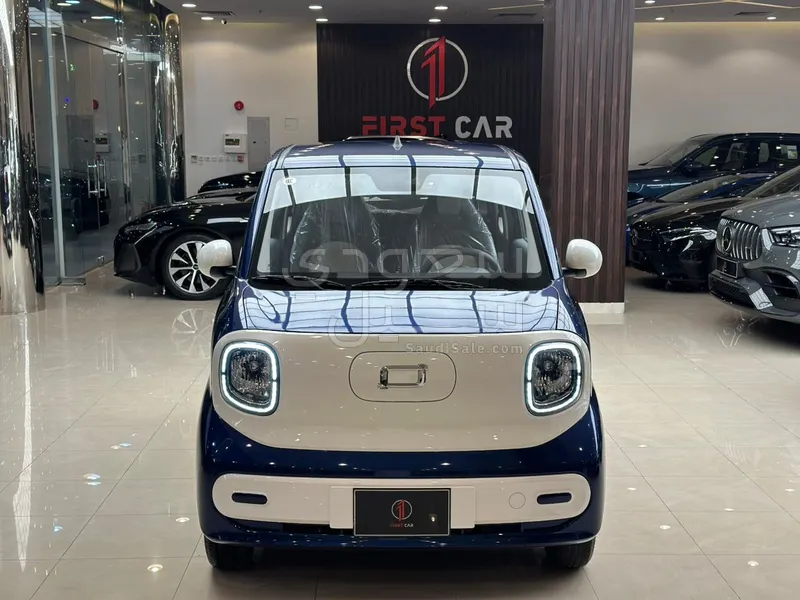 2025 فاو بيستون ميني إي في