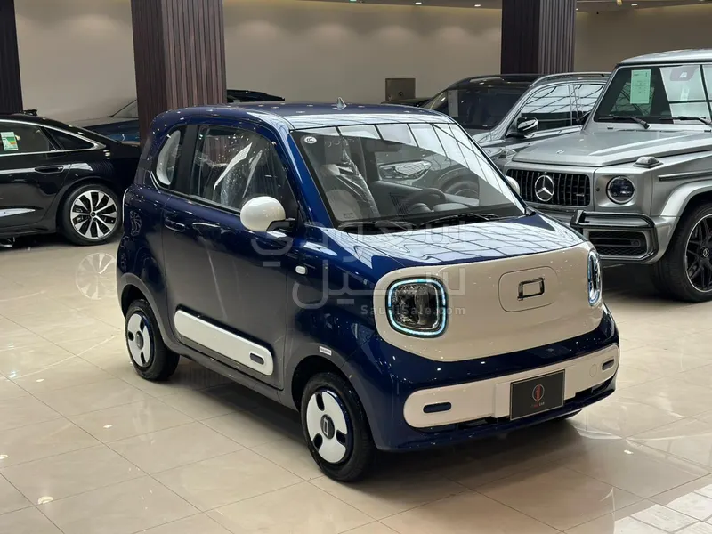 2025 فاو بيستون ميني إي في