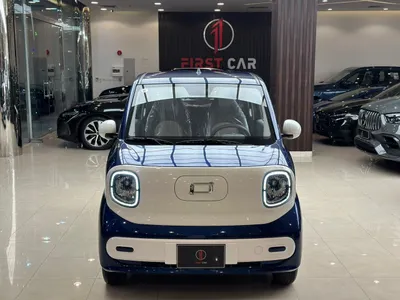 2025 فاو بيستون ميني إي في