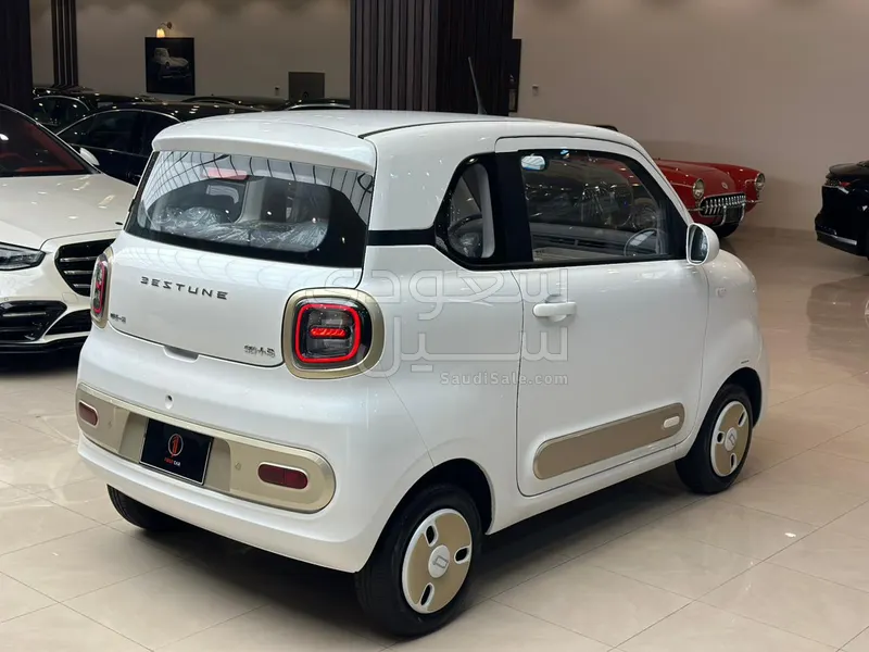 2025 فاو بيستون ميني إي في