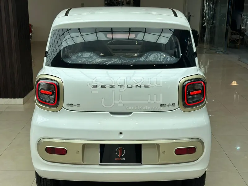 2025 فاو بيستون ميني إي في