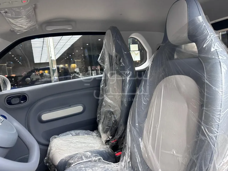 2025 فاو بيستون ميني إي في