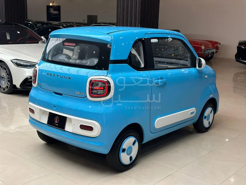 2025 فاو بيستون ميني إي في