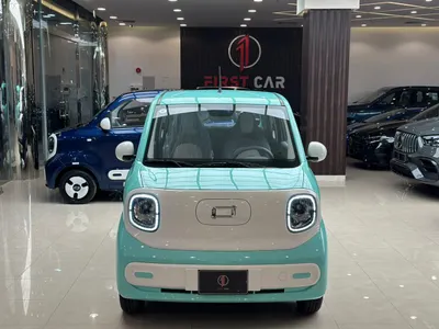 2025 فاو بيستون ميني إي في