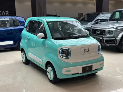 2025 فاو بيستون ميني إي في