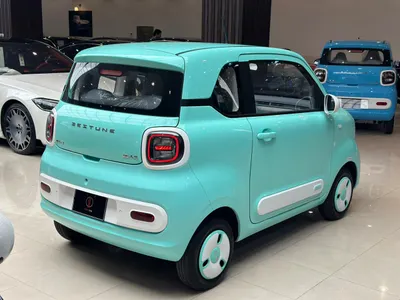 2025 فاو بيستون ميني إي في