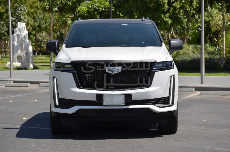 2024 كاديلاك اسكاليد سبورت