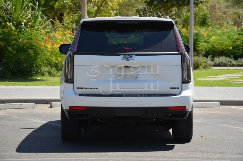 2024 كاديلاك اسكاليد سبورت