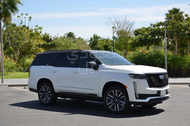 2024 كاديلاك اسكاليد سبورت
