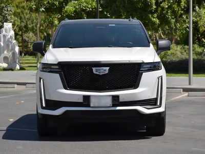 2024 كاديلاك اسكاليد سبورت