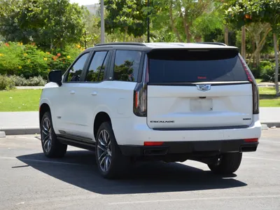 2024 كاديلاك اسكاليد سبورت