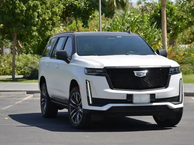 2024 كاديلاك اسكاليد سبورت
