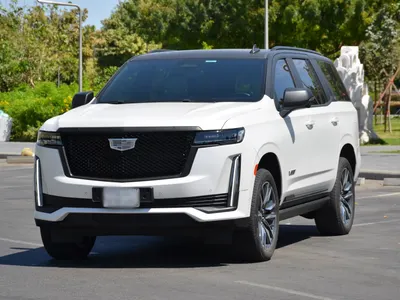 2024 كاديلاك اسكاليد سبورت