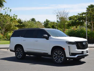 2024 كاديلاك اسكاليد سبورت