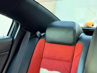 2023 دودج تشارجر اٍس ار تي 392 سكات باك