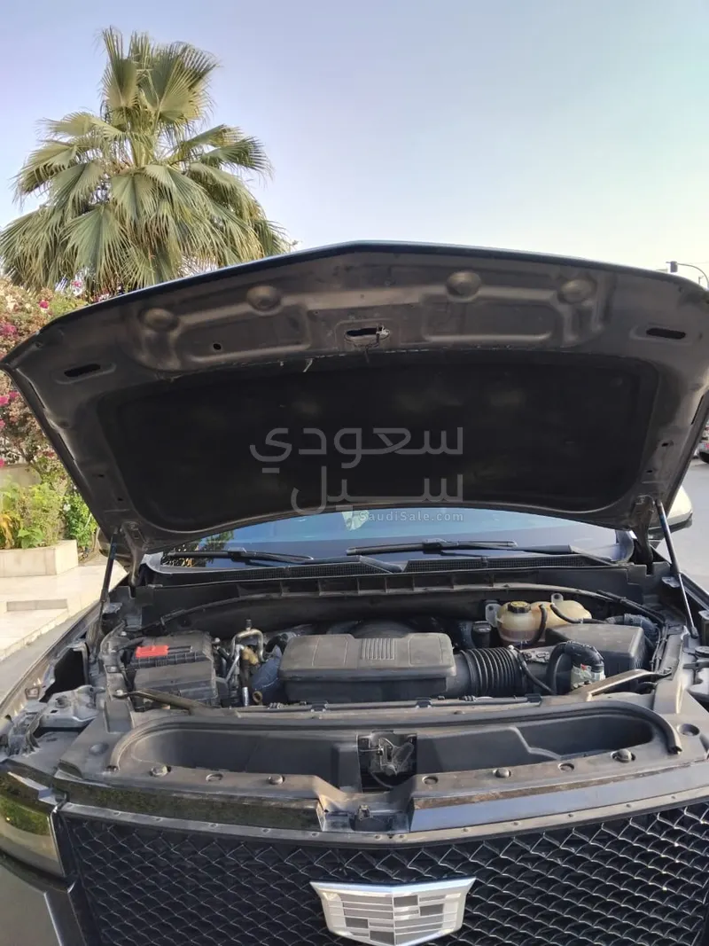 2021 كاديلاك اسكاليد في