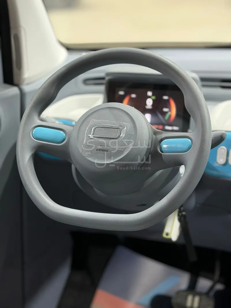 2025 فاو بيستون ميني إي في