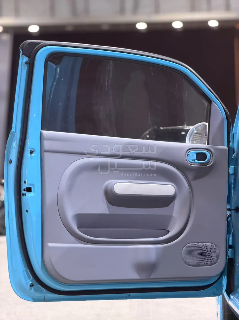 2025 فاو بيستون ميني إي في