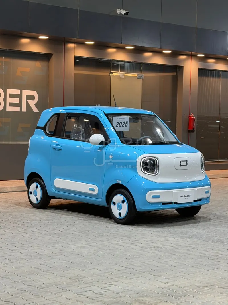 2025 فاو بيستون ميني إي في