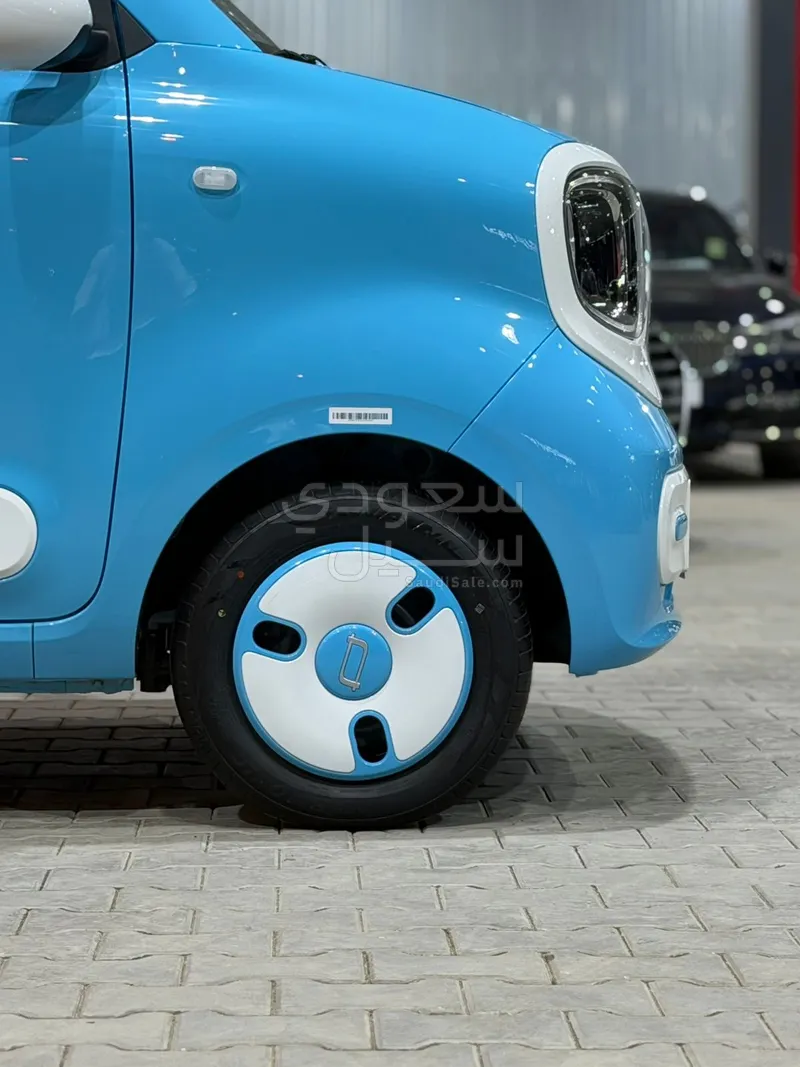 2025 فاو بيستون ميني إي في