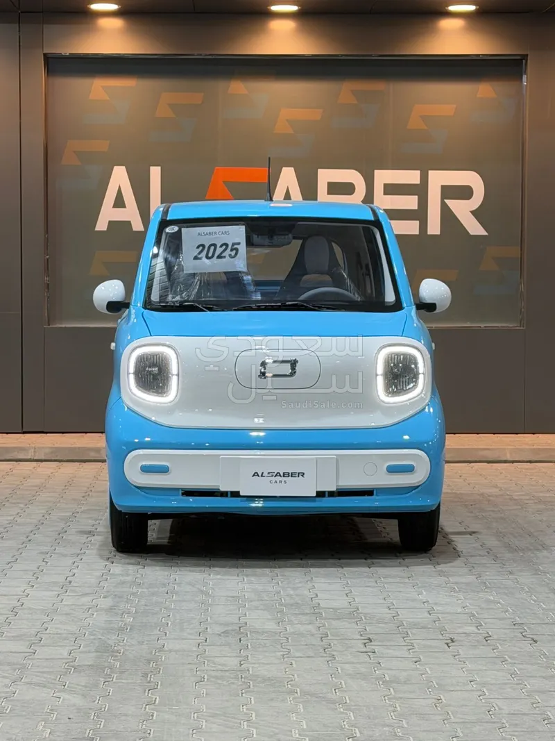 2025 فاو بيستون ميني إي في