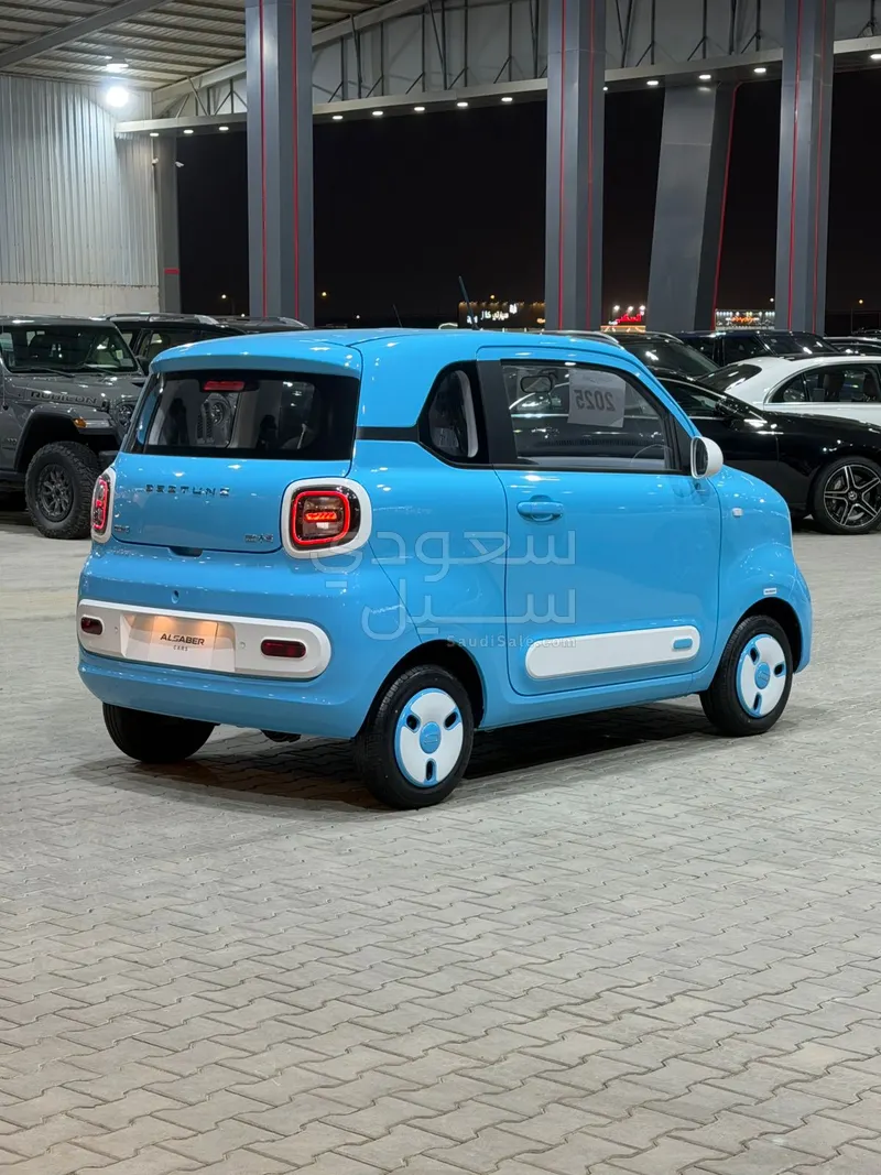 2025 فاو بيستون ميني إي في