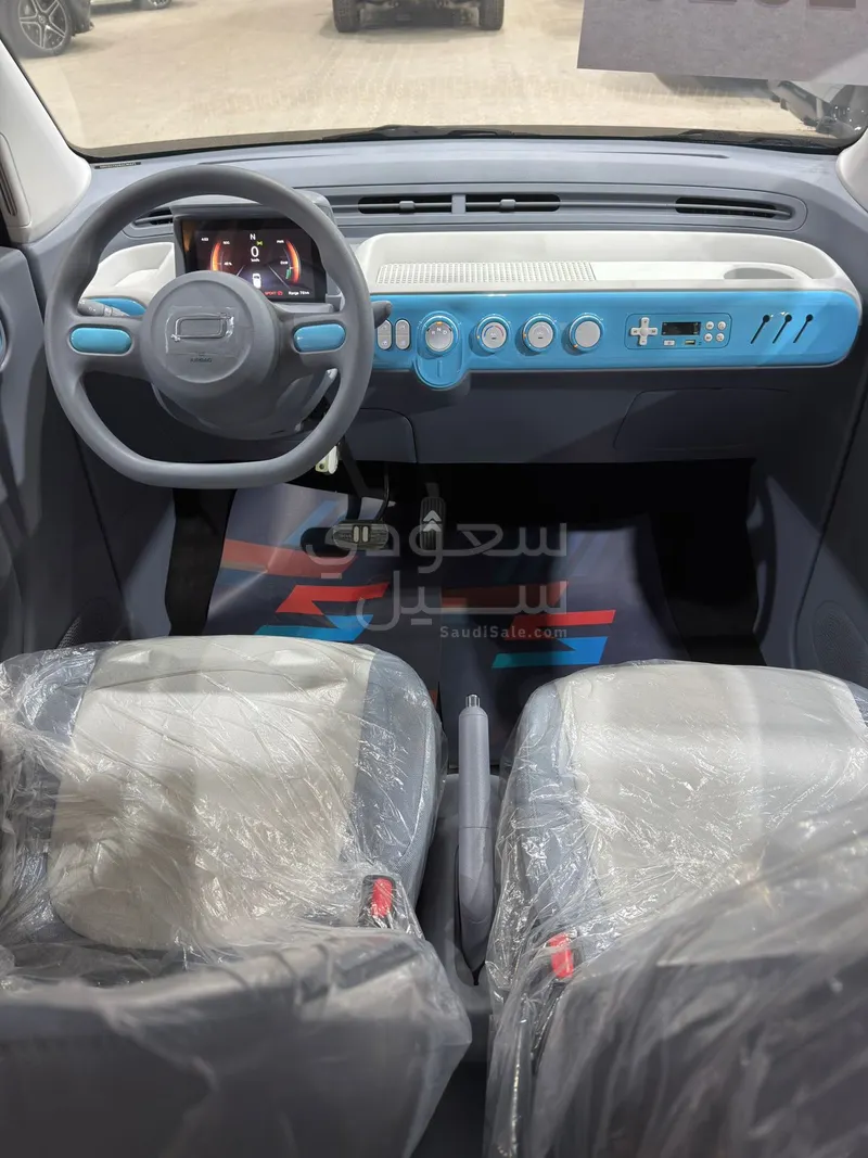 2025 فاو بيستون ميني إي في