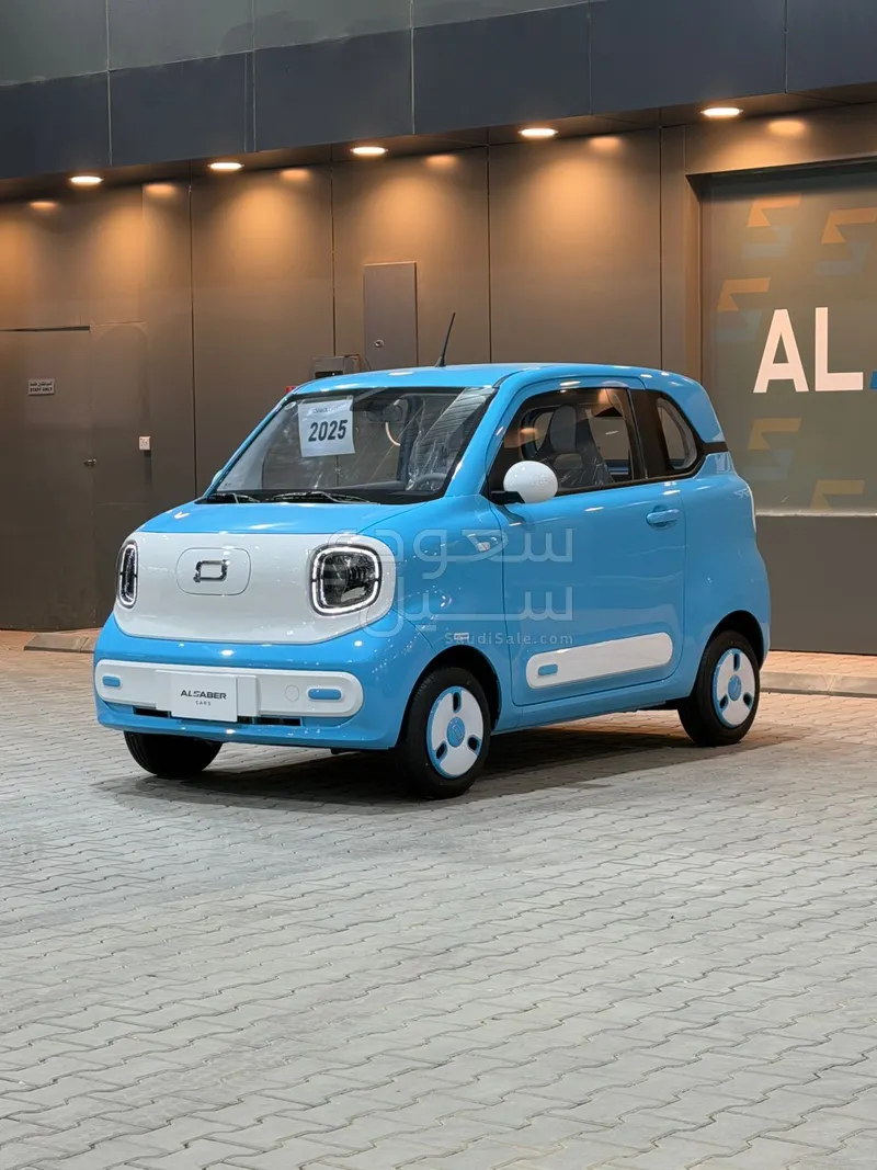 2025 فاو بيستون ميني إي في