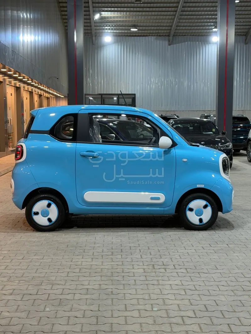 2025 فاو بيستون ميني إي في