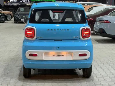 2025 فاو بيستون ميني إي في