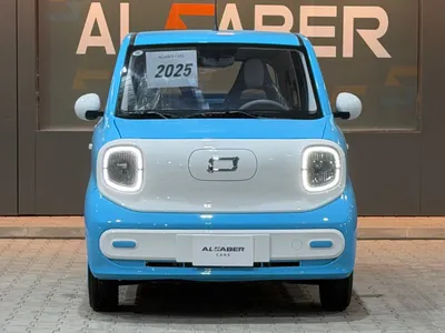 2025 فاو بيستون ميني إي في