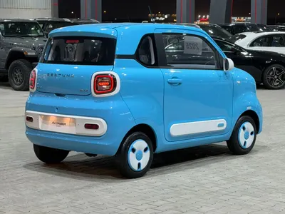 2025 فاو بيستون ميني إي في