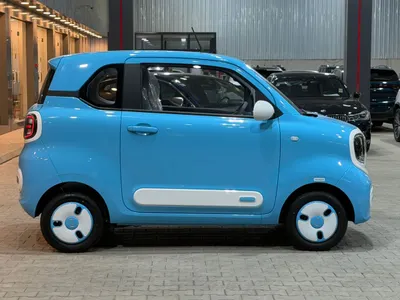 2025 فاو بيستون ميني إي في