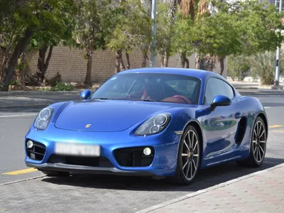 2015 بورش كايمان